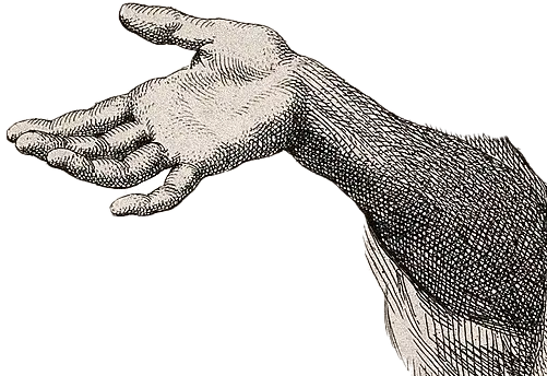 Left hand presenting